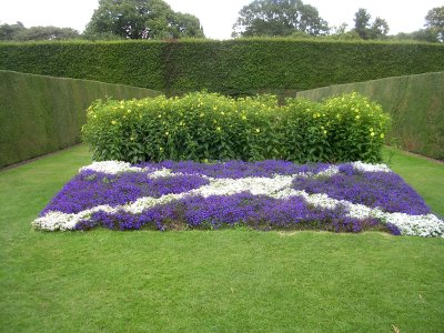 St Andrew's cross in flowers.